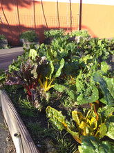 Home Grown Greens
